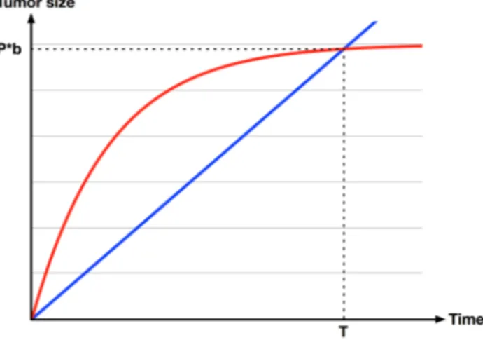 Figure 4.2: estimation of parameters a (Red = Gompertz curve ; Blue = Exponential curve)  Therefore, the link between the doubling time and a can be calculated using equation (4)