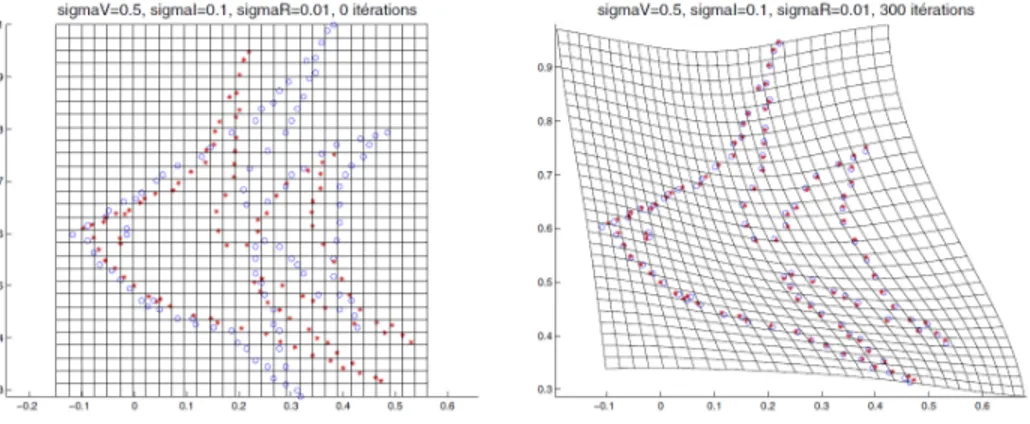 Figure 2.8 Glaunes et al. modélisent les points d’intérêt comme des diracs (Glaunes et al.).