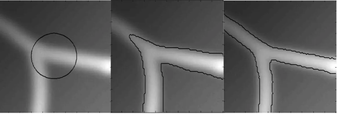 Figure 2.43 La segmentation à base de level-set est robuste aux problèmes d’illumination (Sum and Cheung, 2008)