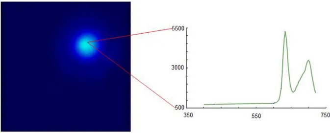 Figure 2-8: Image conceptuelle de la détection spectralement résolue de la fluorescence en champ  large