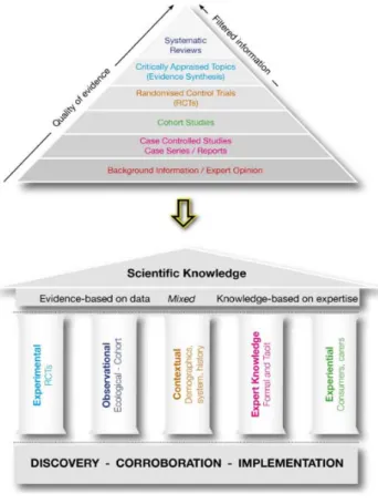 Figure 3 : Catégorisation de la connaissance scientifique fondée sur les preuves  49 