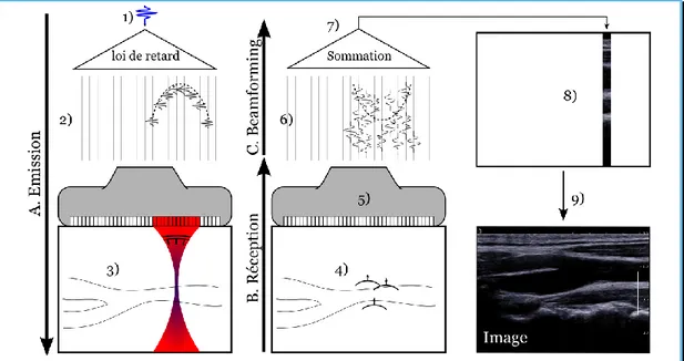 Figure 1.9 – Principe de formation d’une image échographique. A. Emission. On émet 