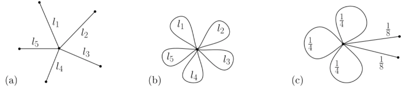 Figure 3.1  A few basic examples. (a) star graph (b) ower graph (c) equilateral stower graph with E p = 3, E l = 2