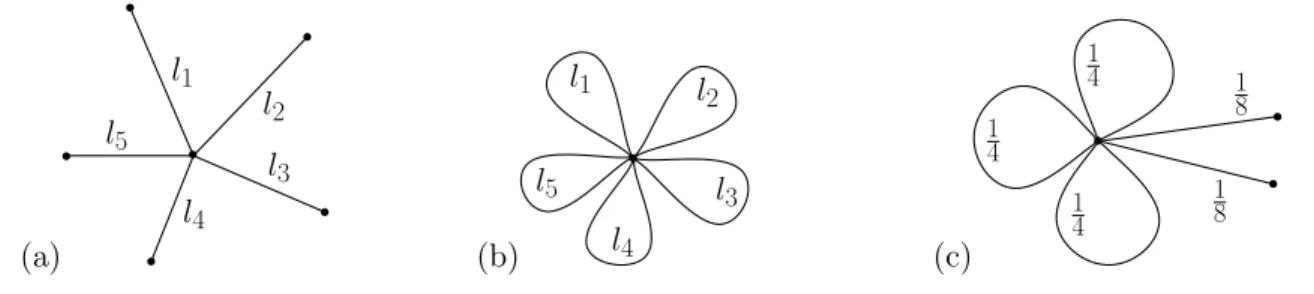 Figure 3.1 – A few basic examples. (a) star graph (b) flower graph (c) equilateral stower graph with E p = 3, E l = 2