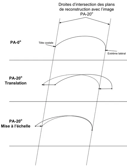 Figure 1.7 Transformations géométriques pour la correction du déplacement.