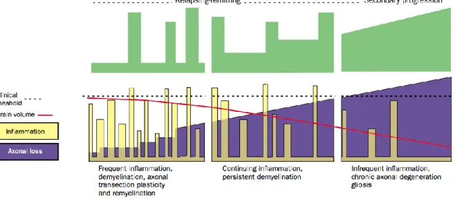 Figure 2.7: Course of the Multiple Sclerosis over time. 