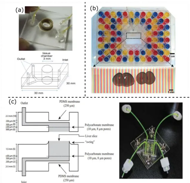 Figure 2.1: Modèle de culture organotypique publiée dans la littérature. (a) Système microfluidique  utilisé par Hattersley et al
