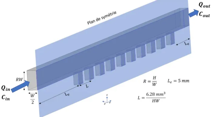 Figure 4.3 Description schématique de la géométrie et des paramètres utilisés pour modéliser le  problème de changement de milieu dans le système microfluidique