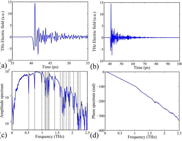 Figure 1.4 (a)-(b) Time domain pulse. (c) Normalized amplitude spectrum. The dotted lines correspond to absorption in the water molecule [37, 38]