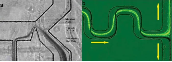 Figure  1-8  –  a)Séparateur  de  particules  à  obstacle  séparant  deux  types  de  cellules  de  cancer  du  sein