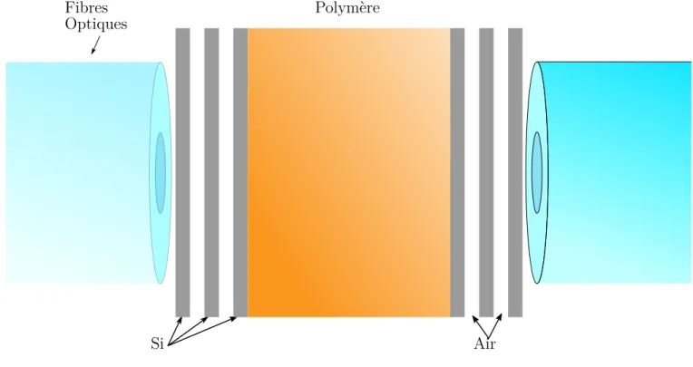 Figure 2.1 Senseur de gaz FP avec des fibres optiques