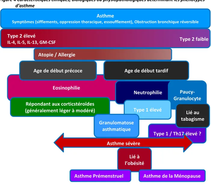 Figure 4 Caractéristiques cliniques, biologiques ou physiopathologiques déterminant les phénotypes  d’asthme  