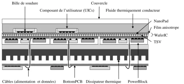 Figure 1-5: Coupe transversale du WaferBoard. 