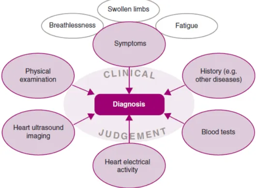 Figure 6 : Schéma représentant les différents paramètres examinés pour le diagnostic de l'IC   (par Ponikowski P, ESC Heart Failure, 2014)