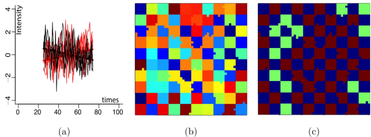 Figure 3.6: Local and global segmentation of shrunken Chessboard image sequence: (a) the shrunken true and observed observed TCs; (b) local clustering of shrunken chessboard with 2 clusters: the color map of 89 local clusters from local clustering; (c) global clustering of shrunken chessboard with 2 global clusters: the color map
