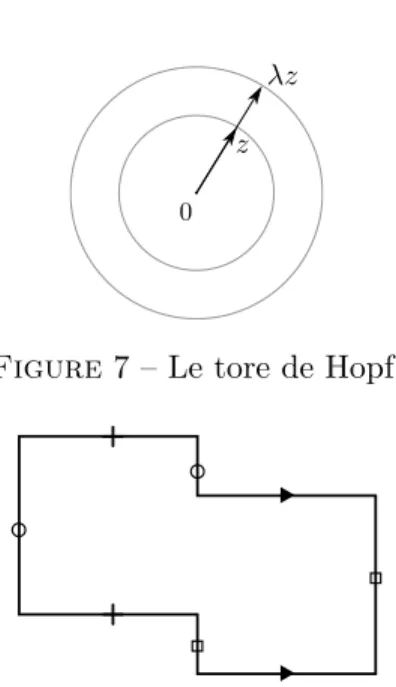 Figure 7 – Le tore de Hopf.