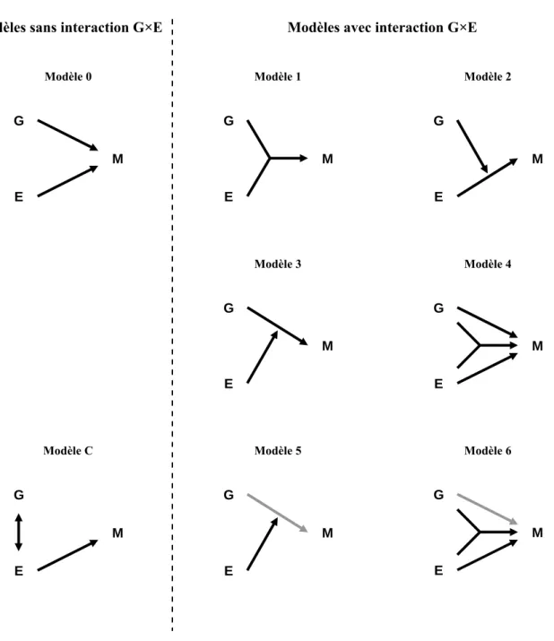 Figure 1.1  Représentation schématique des types d’interaction gène-environnement 