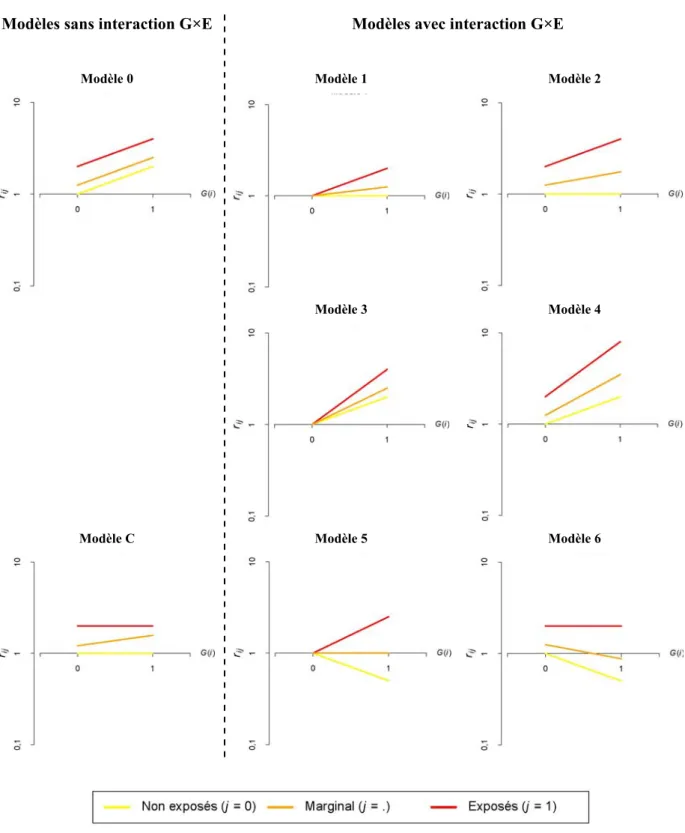 Figure 1.2  Représentation graphique du risque de maladie pour les différents types  d’interaction gène-environnement 