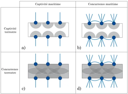 Fig. 2.8 – Concurrence et captivité dans les segments maritime et terrestre