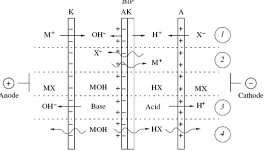 Figure 2.7 Membrane permselectivity failure that can affect the EDBM performance [39]