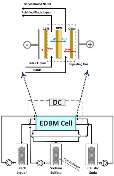 Figure 5.2 Schematic diagram of the electrochemical acidification apparatus and the EDBM cell