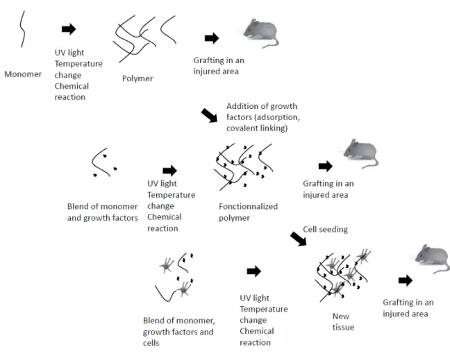 Figure 2-3: Hydrogel fabrication and application. [76] 