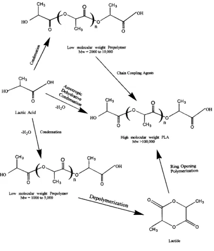 Figure 2-6: Synthesis of PLA [118] 