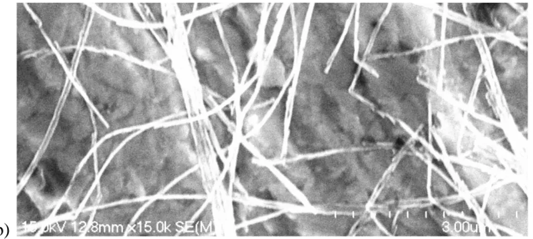 Figure 2.6:   Caractérisation  par  MEB  des  nanofils  libérés  de  la  membrane.  Les  mesures  par  MEB  n'ont  pas  permis  de  distinguer  les  différentes  couches  magnétiques  et  non-magnétiques,  ce  qui  rend  son  utilité  très  limitée