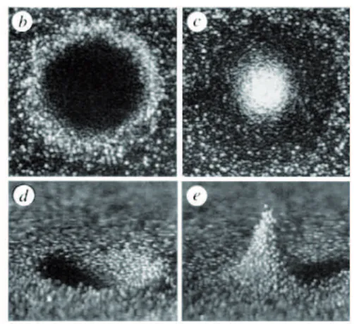 Figure 1.11 – Oscillons dans du sable. Phase ”crat` ere” et phase ”pic”. D’apr` es [82].