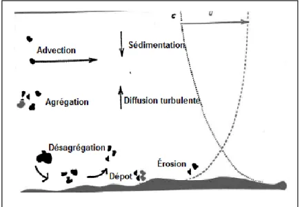 Figure  2.2. Mécanismes  intervenant durant  le transport  des matières solides en suspension, tirée  de (Guichard &amp; Mouchel, 1993)