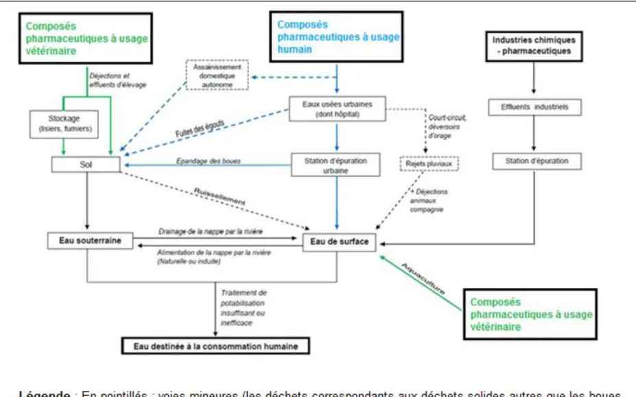 Figure  2.8.  Origines  des  composés  pharmaceutiques  émergeant  dans  l‘environnement  aquatique,  tirée  de  (Agence  Francaise  de  Sécurité Sanitaire des Aliments (afssa), 2010)