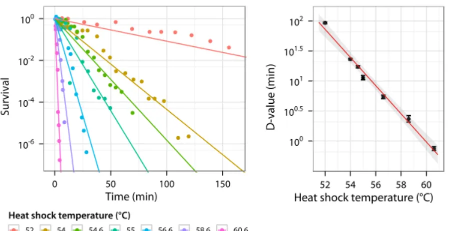 Figure 1.2: Survival of E. coli MG1655 at high temperature (using data from Val- Val-dramidis et al., 2006)