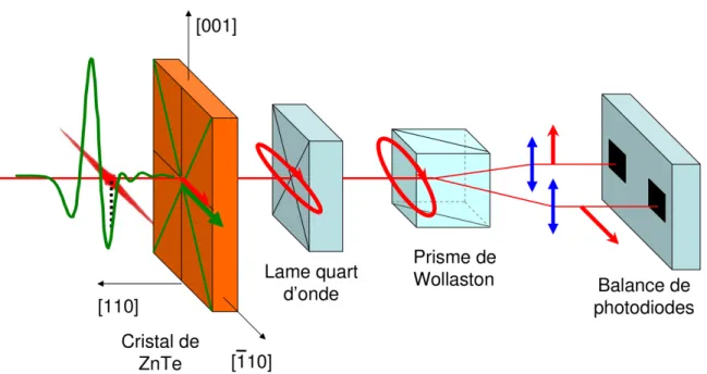 Figure 2.4: Représentation s
hématique d'un système de déte
tion éle
tro-optique.
