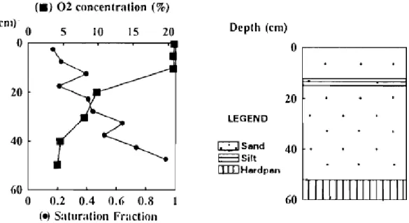 Figure  2.13:  Profils verticaux de la concentration d’oxygène, du degré de saturation et de la  stratigraphie du site (tirée de Elberling et al., 1993)
