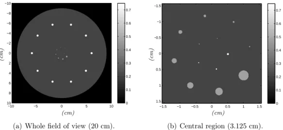 Fig. 4.1 – Resolution phantom used for data simulation (attenuation in cm −1 at 70 keV)).