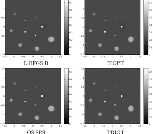 Fig. 4.4 – Central region of interest of the simulated phantom, reconstruced, full image reconstructed on a 480-pixels matrix