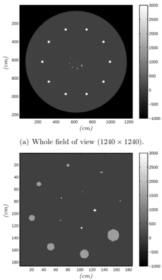 Fig. 5.1 – Representation of the phantom used in numerical experiments on a [−1000, 3000] HU scale, at target resolution 0.016 cm.