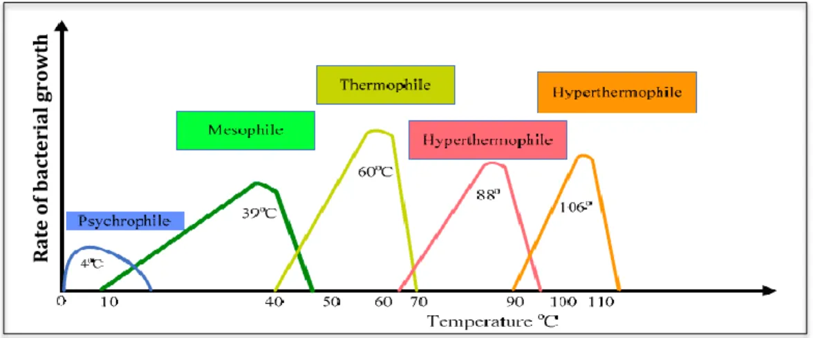 Figure 2.8. Temperature effect on microbial growth (Navaee-Ardeh, 2009) 