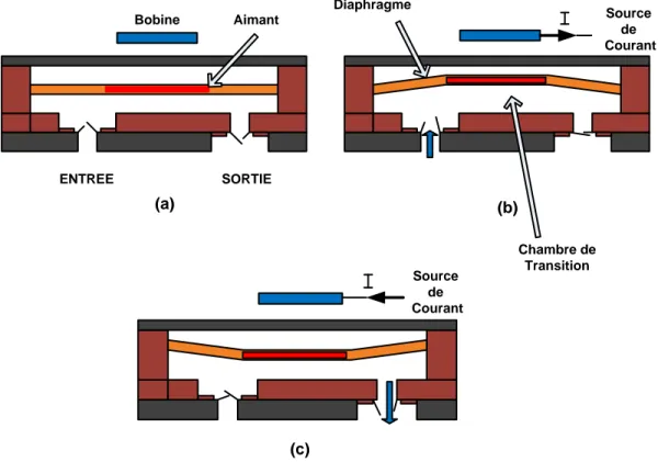 Figure  1.5:  Micropompe  à  un  actionneur  électromagnétique:  (a)  état  initial  (le  courant  est  nul);  (b) déflexion de la membrane vers le haut (aspiration du liquide) et (c) déflexion de la membrane  vers le bas (pompage)