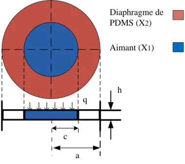 Figure 3.2: Position de l'aimant au centre du diaphragme de PDMS. 