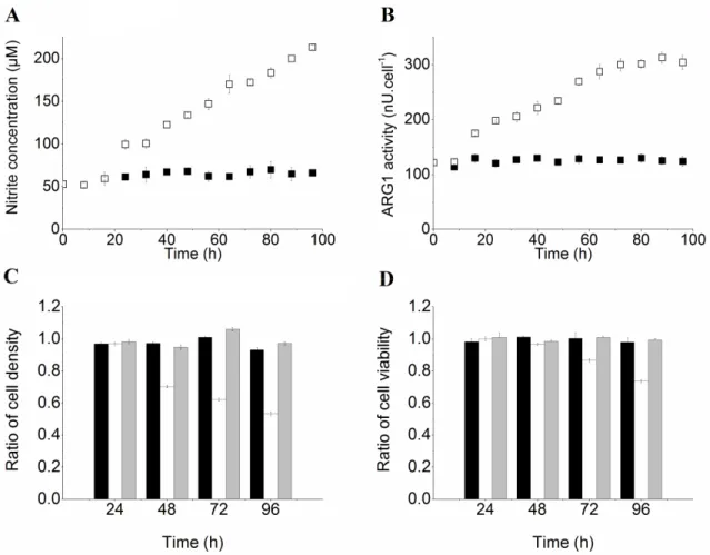 Figure 3-1 : Immunosuppressive activity of BM-derived MDSCs.  