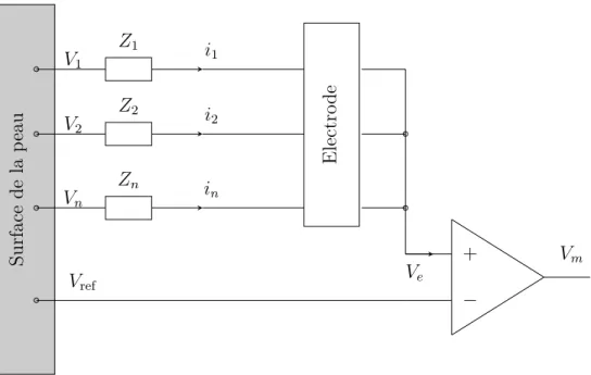 Figure 3.2 : Diagramme qui montre la relation entre les potentiels sur la surface de la peau et le potentiel de l’électode (V e ).
