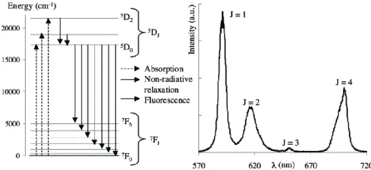 Figure 15. Diagramme des niveaux d'énergie et spectre de luminescence de l'Eu(III). Les pics  sont issus des transitions  5 D 0 →