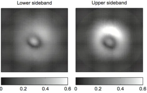 Figure 5.5: Amplitude images of lower (left panel) and upper (right panel) radio-frequency sidebands in the power recycling cavity of Virgo during VSR2, from [101]: because of mode contamination, the aberrated shape is very far from the expected Gaussian amplitude.