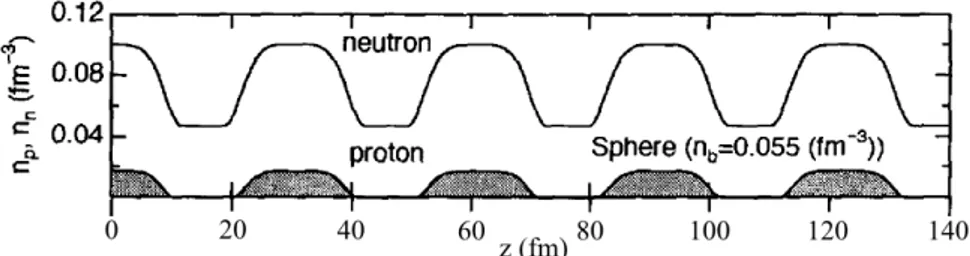 Fig. 2.7: Oscillations de densités de neutrons et de protons selon une direction