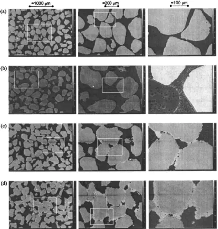 Figure 2.15 Images du microscope électronique à balayage pour (a) un sable à l'état naturel;      (b) un sable cimenté au gypse; un sable (c) légèrement; et (d) fortement bio-cimenté         