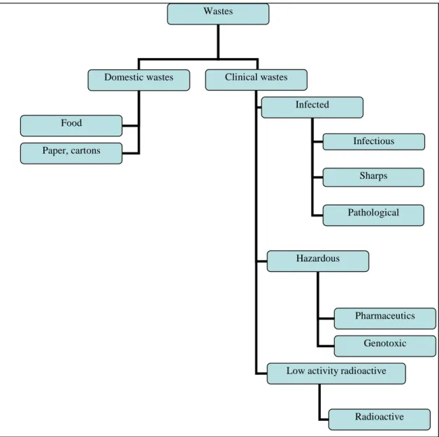 Figure 1.1 - Classification of waste generated by the health care system 
