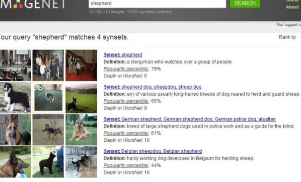 Figure 2.1 An ImageNet query results for the input “shepherd"