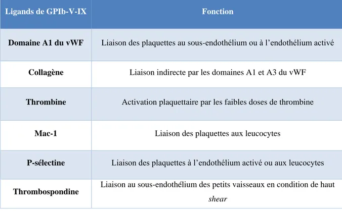 Tableau 2  :  Les  principaux  ligands  du  complexe  GPIb-V-IX  et  leurs  fonctions