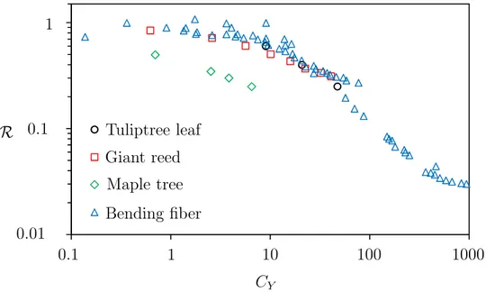 Figure 2.5 The variation of the reconfiguration number with the Cauchy number for different natural species (de Langre, 2008) compared with a fiber bending in flow (Alben et al., 2002).
